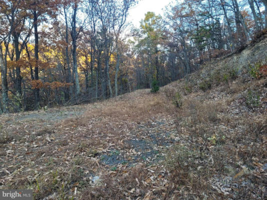 LOT 19 SOUTH WEST SLOPE, STAR TANNERY, VA 22654, photo 5 of 33