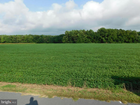 EASTERLY PORTION LOT 1, DAYE GIRLS ROAD, BISHOPVILLE, MD 21813, photo 2 of 13
