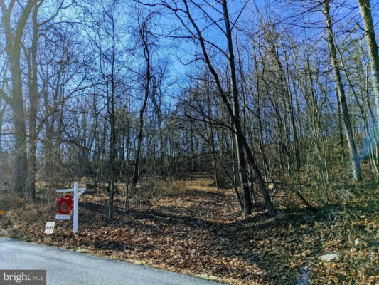 LOT 1 TREGO MOUNTAIN ROAD, KEEDYSVILLE, MD 21756 - Image 1