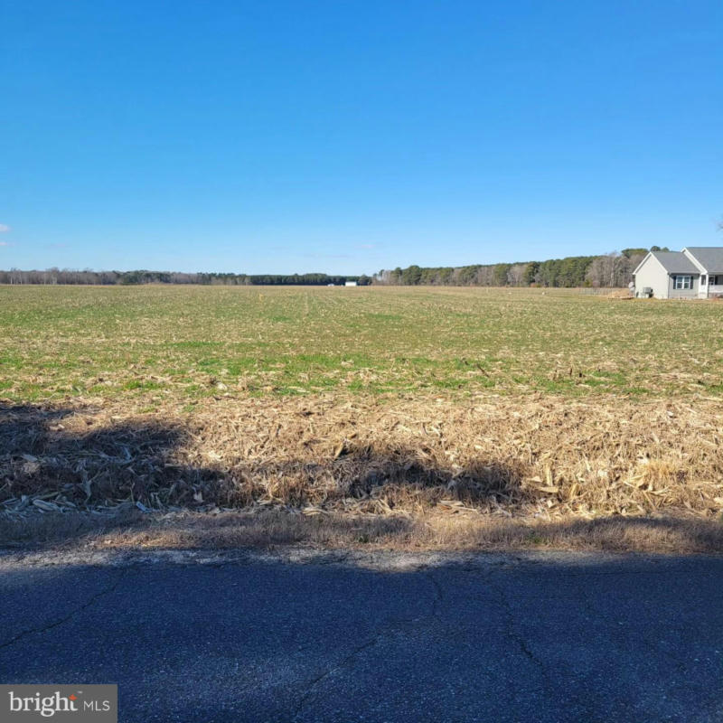 0 BOX IRON ROAD, SNOW HILL, MD 21863, photo 1 of 2