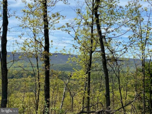 LOT 6 POLECAT HOLLOW ROAD, HOPEWELL, PA 16650, photo 3 of 23