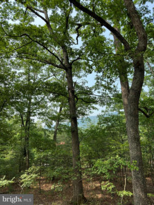 6 AC MOUNTAIN ACRES DRIVE, MOOREFIELD, WV 26836 - Image 1