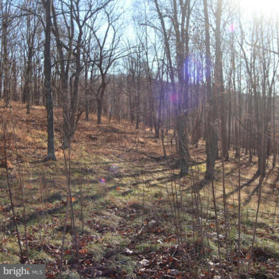 LOT 56 OFF SARAH LINCOLN, NEW CREEK, WV 26743, photo 2 of 4