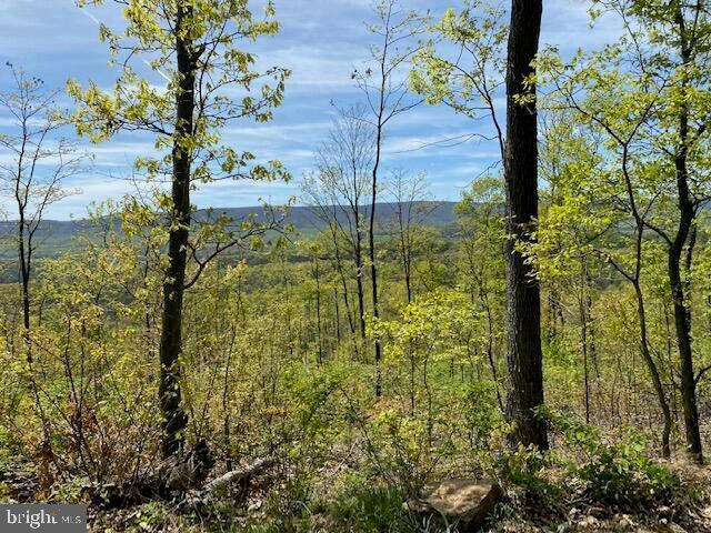 LOT 6 POLECAT HOLLOW ROAD, HOPEWELL, PA 16650, photo 1 of 23