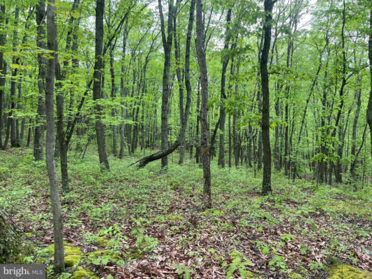 LOT 25 JEREMIAH WAY, CLEARVILLE, PA 15535, photo 4 of 20