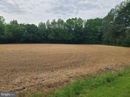 LOT 3 MORRIS ROAD, PITTSVILLE, MD 21850 - Image 1