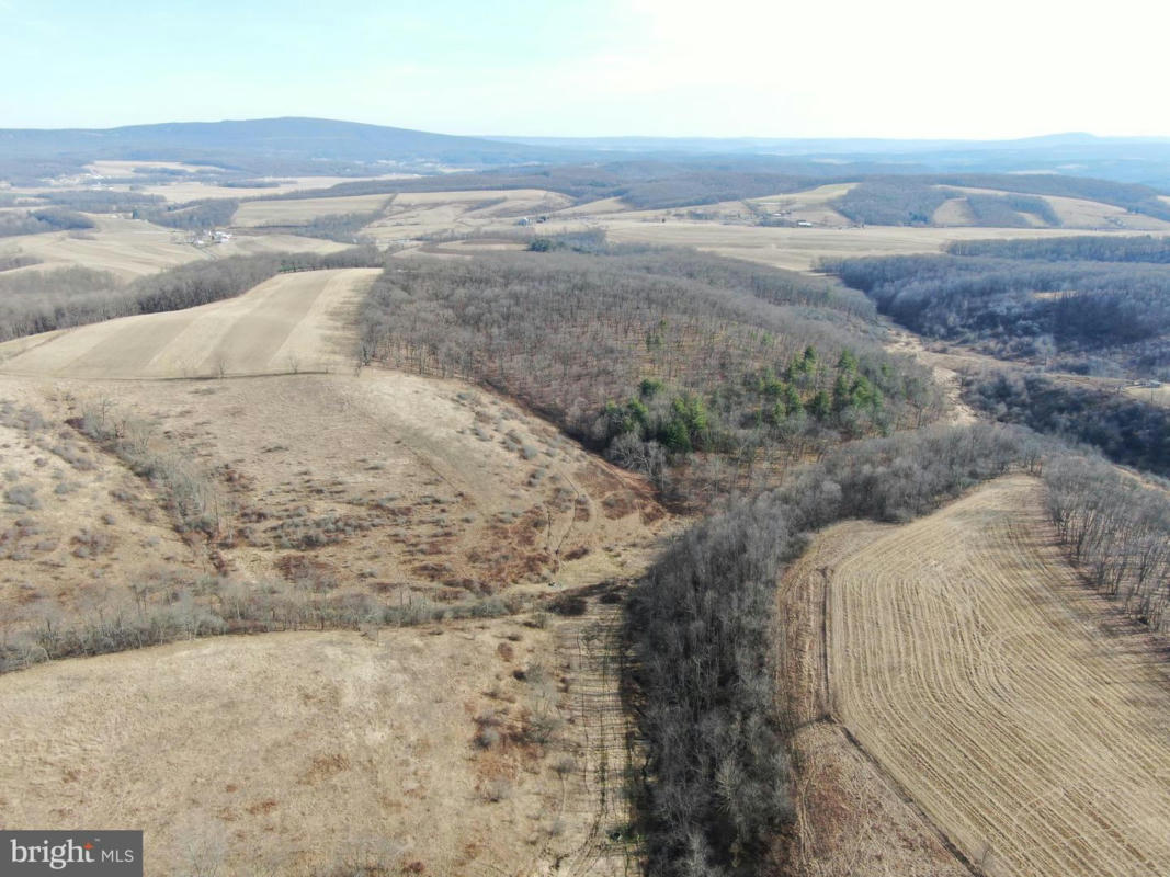 123.33+- ACRES MILLER RD, ALUM BANK, PA 15521, photo 1 of 43