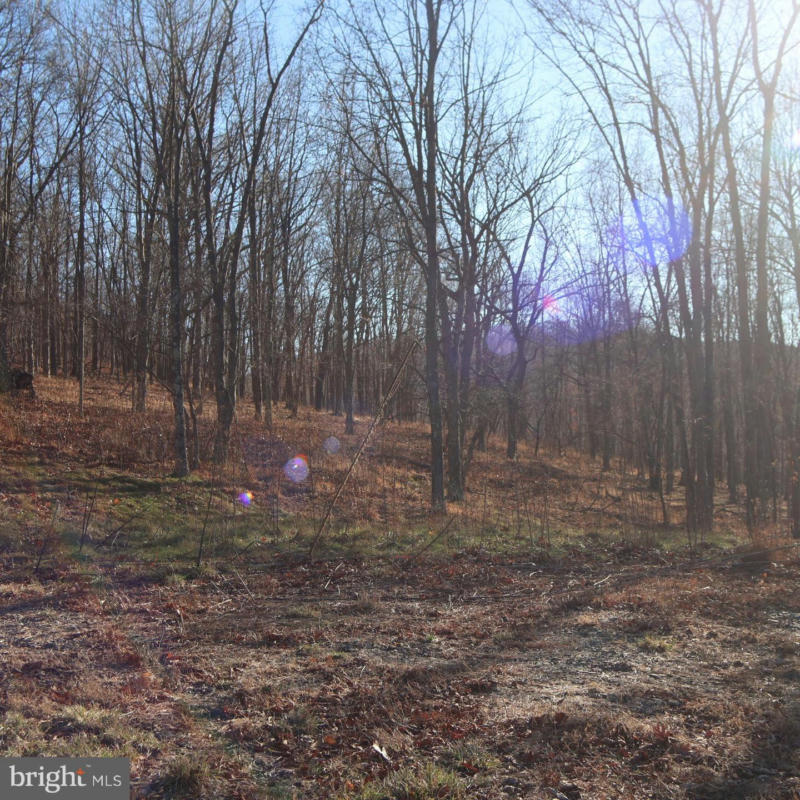 LOT 56 OFF SARAH LINCOLN, NEW CREEK, WV 26743, photo 1 of 4