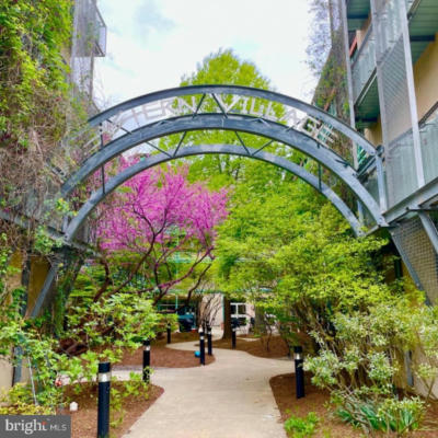 7981 EASTERN AVE APT 211, SILVER SPRING, MD 20910 - Image 1