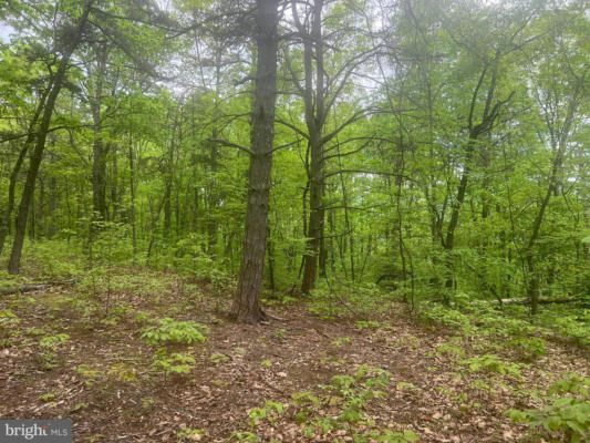 LOT 25 JEREMIAH WAY, CLEARVILLE, PA 15535, photo 2 of 20