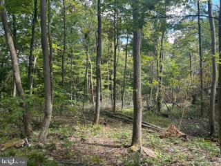 MOUNTAIN AIR SUBDIVISION - LOT 15, SPRINGFIELD, WV 26763, photo 2 of 15