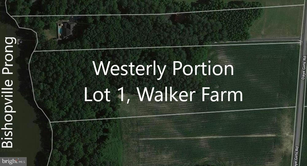 WESTERLY PORTION LOT 1, DAYE GIRLS ROAD, BISHOPVILLE, MD 21813, photo 1 of 17