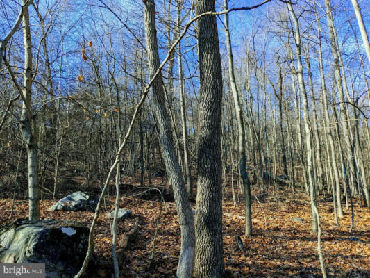 LOT 2 TREGO MOUNTAIN ROAD, KEEDYSVILLE, MD 21756, photo 5 of 6