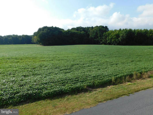 WESTERLY PORTION LOT 1, DAYE GIRLS ROAD, BISHOPVILLE, MD 21813, photo 5 of 17