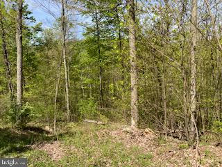 119 ACRES SHEIRER ROAD, BUFFALO MILLS, PA 15534, photo 2 of 20