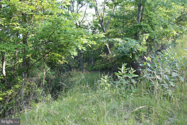 LOT #40W HIGH VALLEY DRIVE NORTH, FRANKLIN, WV 26807, photo 3 of 4