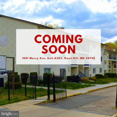 1001 MARCY AVE APT A303, OXON HILL, MD 20745 - Image 1