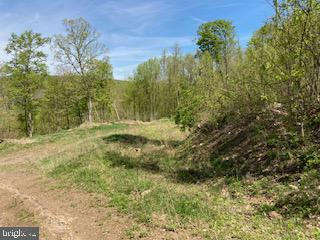60 ACRES SHEIRER ROAD, BUFFALO MILLS, PA 15534, photo 2 of 31