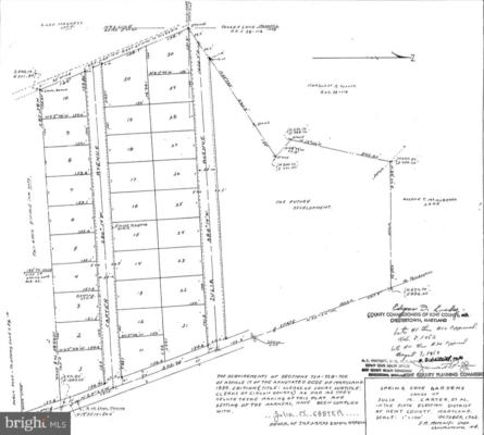 LOT #19 CARTER AVENUE, ROCK HALL, MD 21661, photo 3 of 3