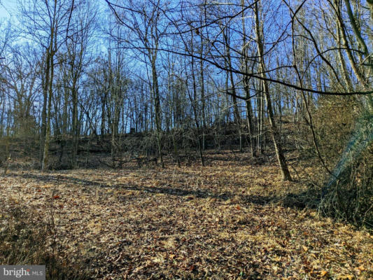 LOT 1 TREGO MOUNTAIN ROAD, KEEDYSVILLE, MD 21756, photo 2 of 7