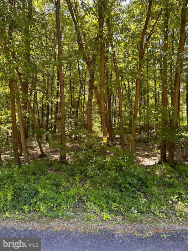 0 KLINE HOLLOW RD LOT 1, LIVERPOOL, PA 17045, photo 1 of 7